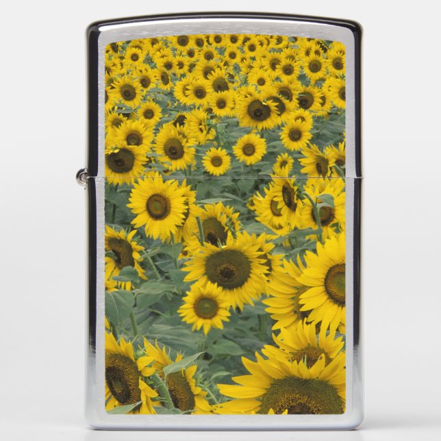 USA, Kentucky Pattern in field of cultivated Zippo Lighter (Front)