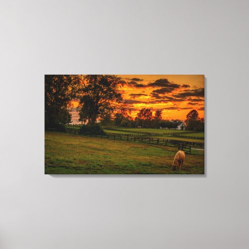 USA Lexington Kentucky Lone horse at sunset 1 Canvas Print