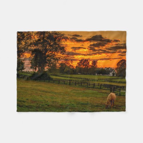 USA Lexington Kentucky Lone horse at sunset 1 Fleece Blanket