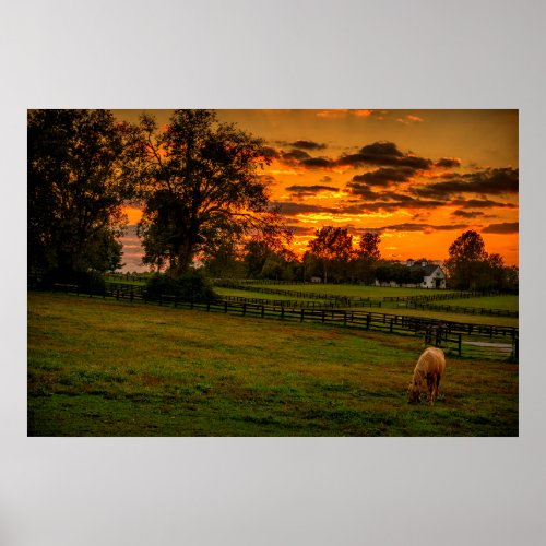 USA Lexington Kentucky Lone horse at sunset 1 Poster