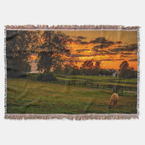 USA Lexington Kentucky Lone horse at sunset 1 Throw Blanket