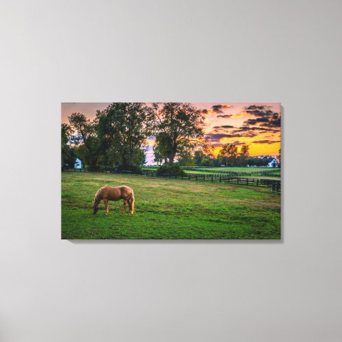 USA Lexington Kentucky Lone horse at sunset 2 Canvas Print