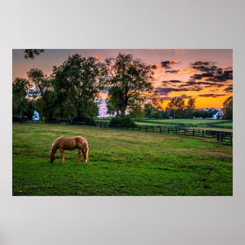 USA Lexington Kentucky Lone horse at sunset 2 Poster