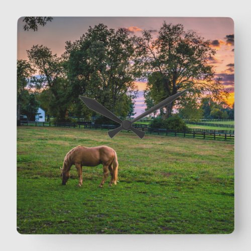 USA Lexington Kentucky Lone horse at sunset 2 Square Wall Clock