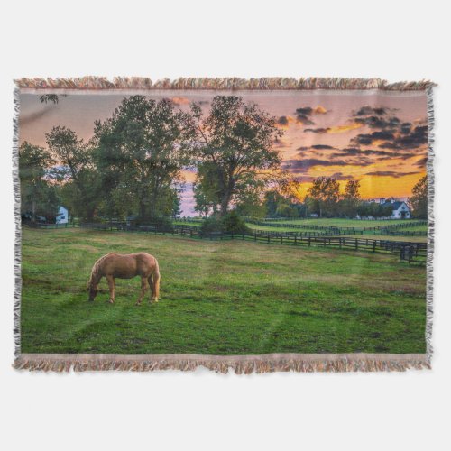 USA Lexington Kentucky Lone horse at sunset 2 Throw Blanket