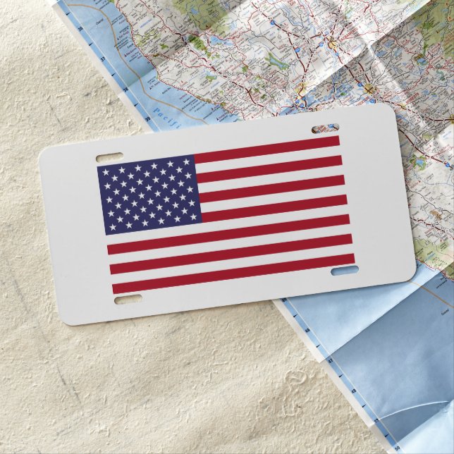 USA License Plate (In Situ)