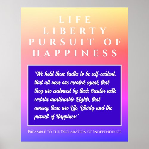 USA Life Liberty  Pursuit of Happiness Poster
