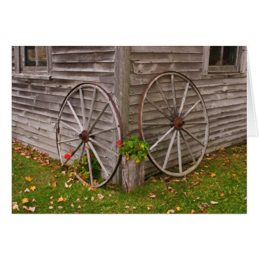 USA, Main. Wagon Wheels Cards (Front Horizontal)