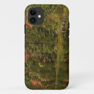 USA; Maine; Acadia NP. Fall reflections at 2 iPhone 11 Case