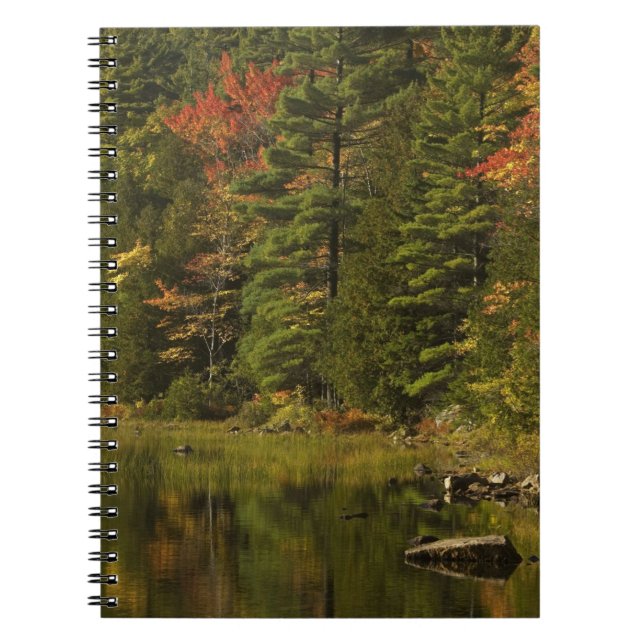 USA; Maine; Acadia NP. Fall reflections at 2 Notebook (Front)