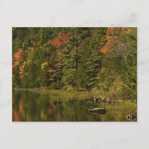 USA; Maine; Acadia NP. Fall reflections at 2 Postcard
