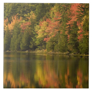 USA; Maine; Acadia NP. Fall reflections at Ceramic Tile