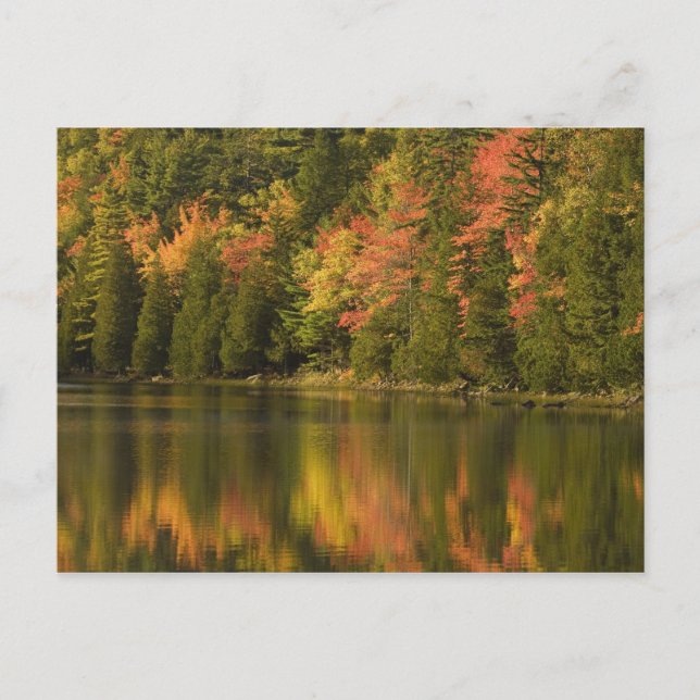 USA; Maine; Acadia NP. Fall reflections at Postcard (Front)