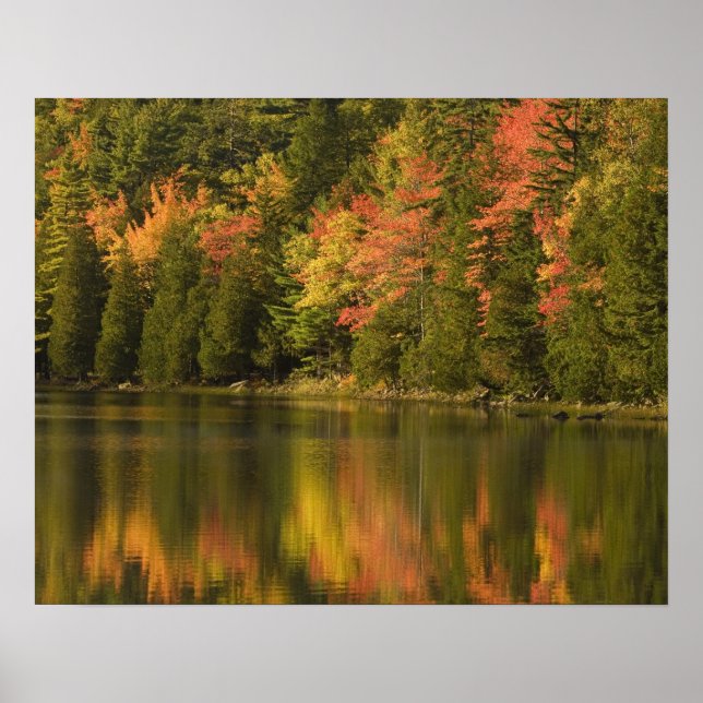 USA; Maine; Acadia NP. Fall reflections at Poster (Front)