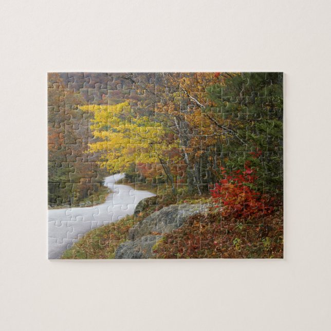 USA, Maine, Camden. Road leading through Camden Jigsaw Puzzle (Horizontal)