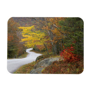 USA, Maine, Camden. Road leading through Camden Magnet