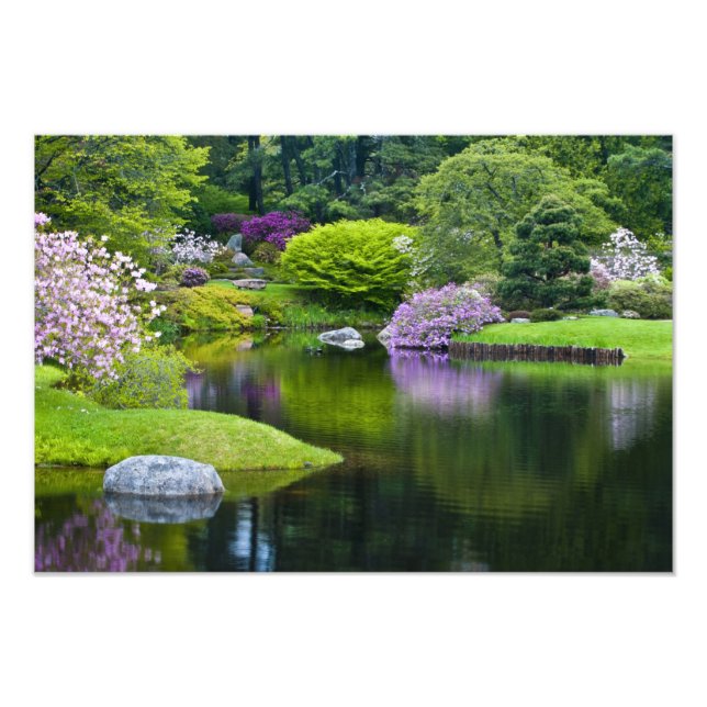 USA, Maine, Northeast Harbor. View of Asticou Photo Print (Front)