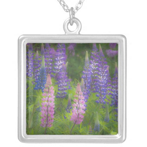 USA Maine Southwest Harbor Blooming lupine Silver Plated Necklace
