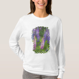 USA, Maine, Southwest Harbor. Blooming lupine T-Shirt