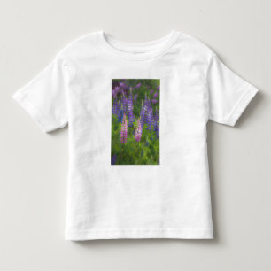 USA, Maine, Southwest Harbor. Blooming lupine Toddler T-shirt