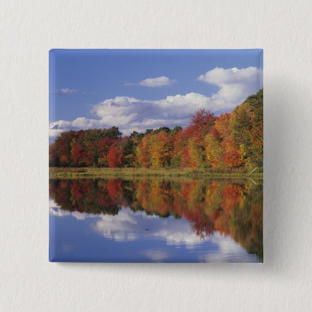 USA, Massachusetts, Acton. Reflection of autumn Button (Front)