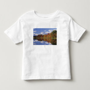 USA, Massachusetts, Acton. Reflection of autumn Toddler T-shirt