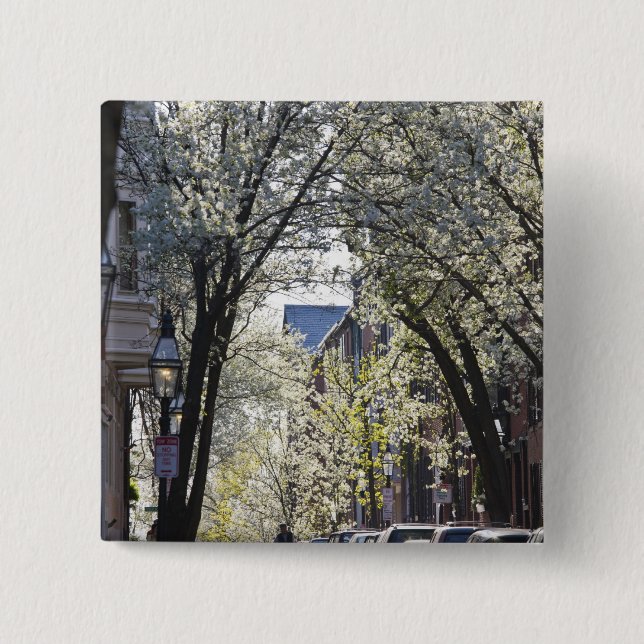 USA, Massachusetts, Boston, Beacon Hill. Button (Front)
