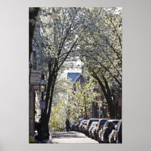 USA, Massachusetts, Boston, Beacon Hill. Poster