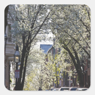 USA, Massachusetts, Boston, Beacon Hill. Square Sticker