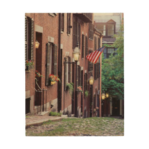 USA, Massachusetts, Boston, Houses Along Acorn Wood Wall Decor