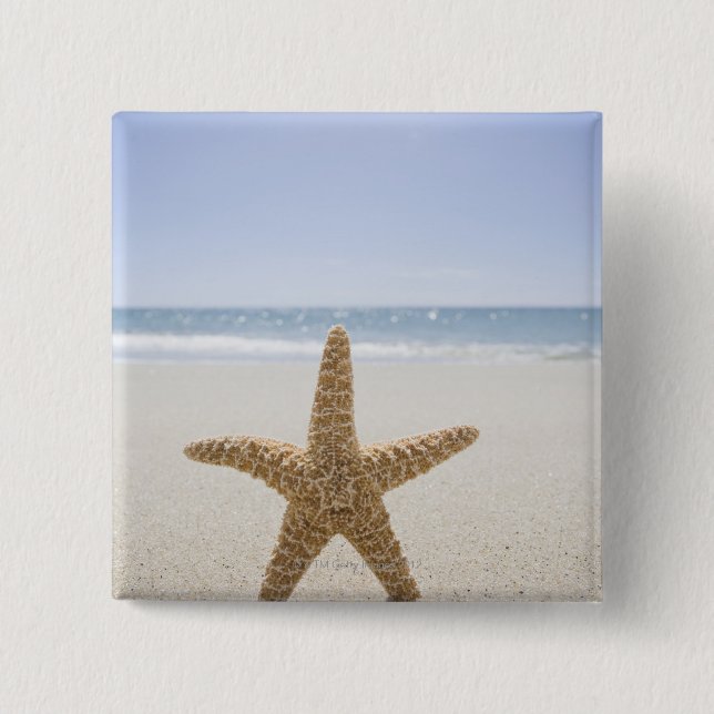 USA, Massachusetts, Cape Cod, Nantucket, close Button (Front)