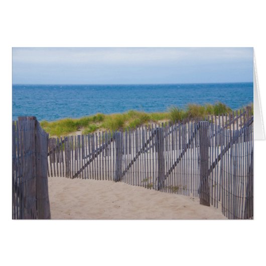 USA, Massachusetts. Dunes And Path Cards (Front Horizontal)