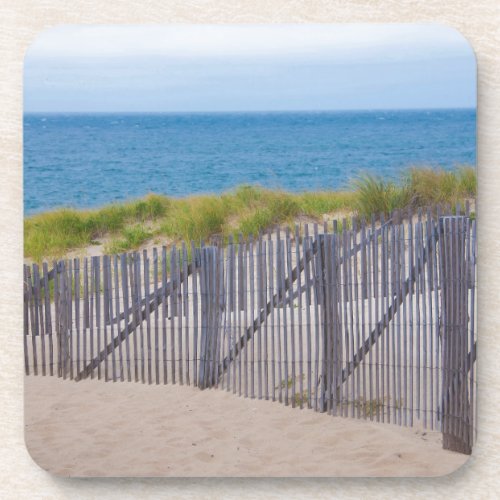 USA Massachusetts Dunes And Path Drink Coaster