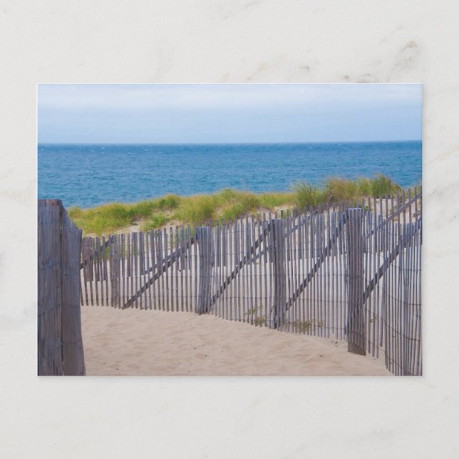 USA, Massachusetts. Dunes And Path Postcard (Front)