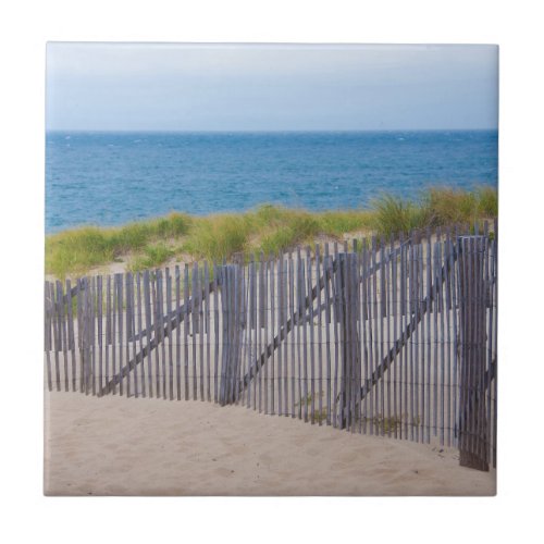 USA Massachusetts Dunes And Path Tile