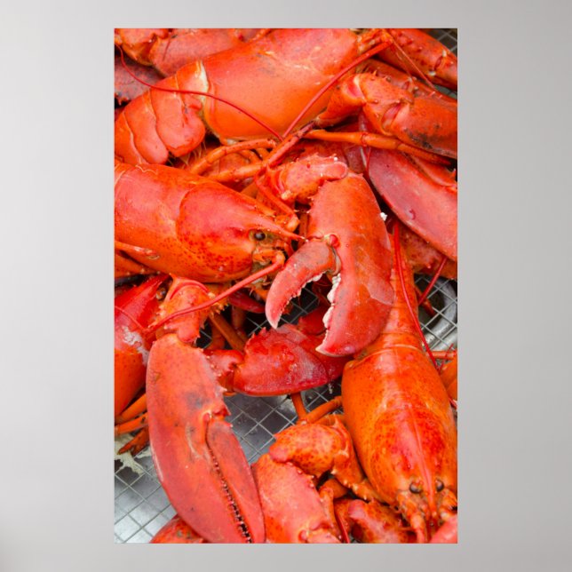 USA, Massachusetts, Martha's Vineyard Poster (Front)