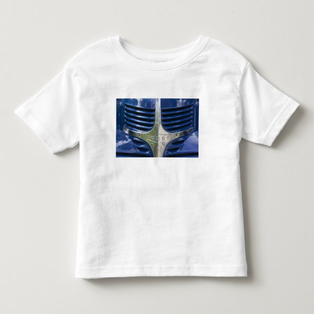 USA, MASSACHUSETTS, Martha's Vineyard: West 2 Toddler T-shirt (Front)