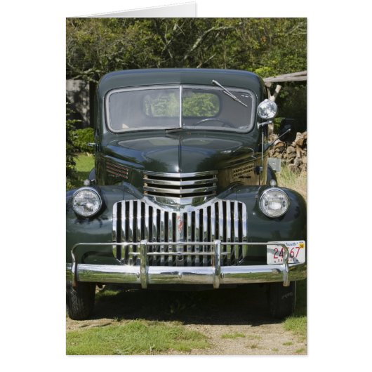 USA, MASSACHUSETTS, Martha's Vineyard: West 4 (Front)