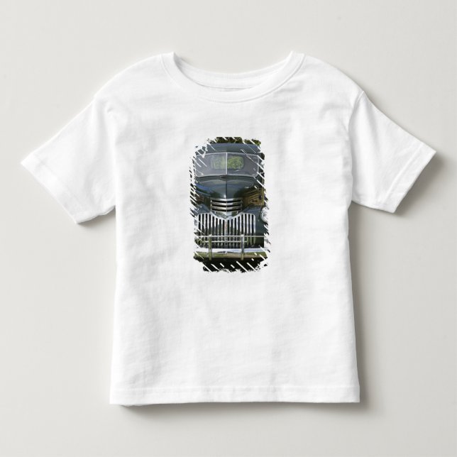 USA, MASSACHUSETTS, Martha's Vineyard: West 4 Toddler T-shirt (Front)