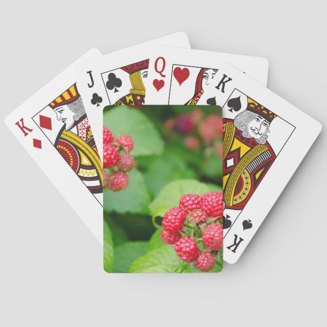 USA, Massachusetts, Nantucket. Ripe Raspberries Poker Cards (Back)