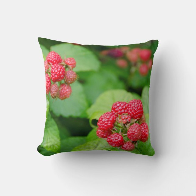 USA, Massachusetts, Nantucket. Ripe Raspberries Throw Pillow (Front)
