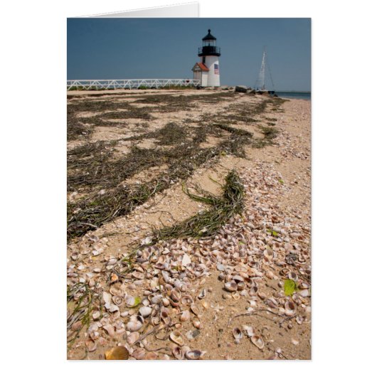 USA, Massachusetts, Nantucket. Shell Cards (Front)