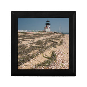 USA, Massachusetts, Nantucket. Shell Jewelry Box