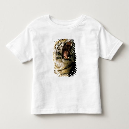 USA Michigan Detroit Detroit Zoo tiger 2 Toddler T_shirt