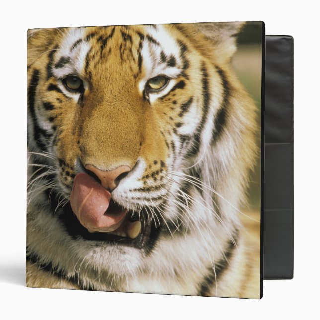 USA, Michigan, Detroit. Detroit Zoo, tiger Binder (Front/Inside)