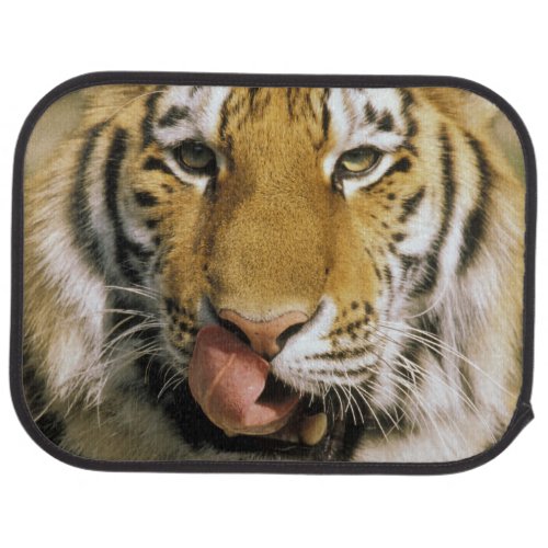 USA Michigan Detroit Detroit Zoo tiger Car Mat