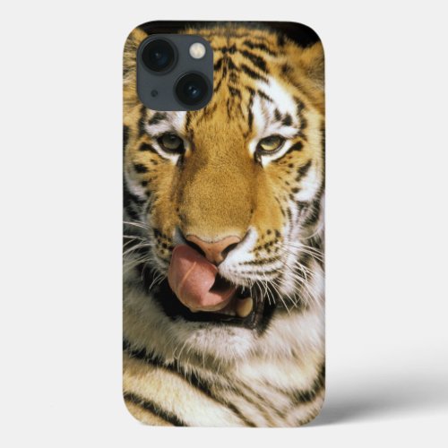 USA Michigan Detroit Detroit Zoo tiger iPhone 13 Case