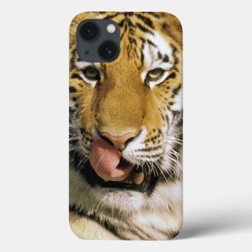 USA Michigan Detroit Detroit Zoo tiger iPhone 13 Case