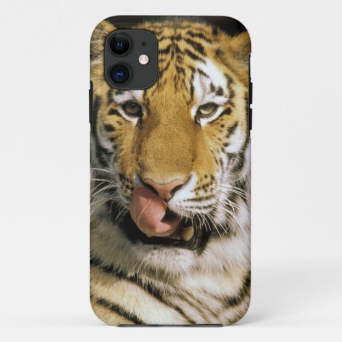 USA Michigan Detroit Detroit Zoo tiger iPhone 11 Case