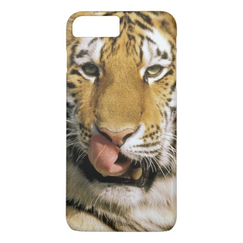 USA Michigan Detroit Detroit Zoo tiger iPhone 8 Plus7 Plus Case